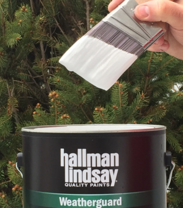 Hallman Lindsay  METALGUARD 338 Premium Acrylic DTM Primer/Finish