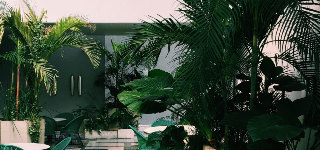 Cafeteria room filled with leafy tropical plants.