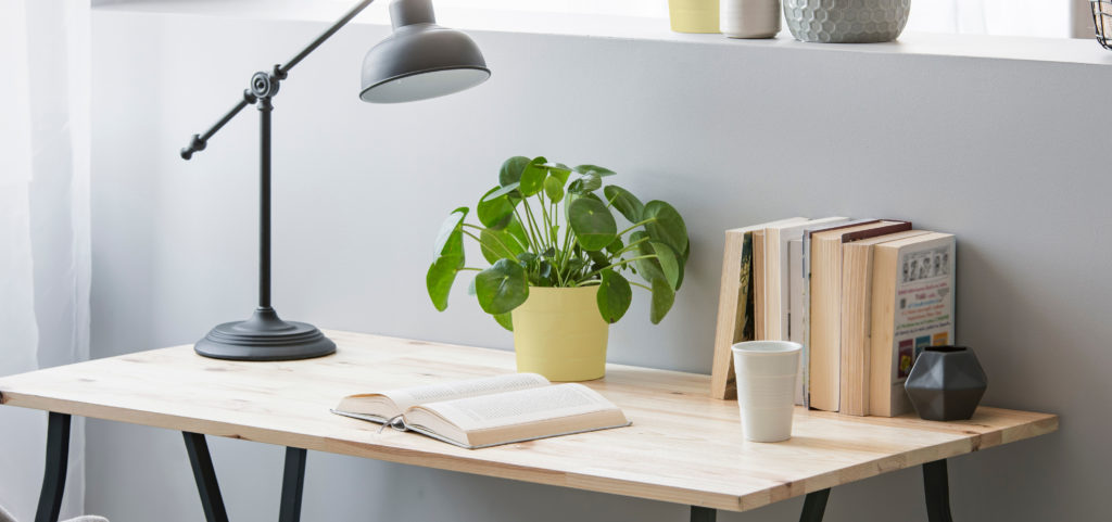 Home office with 0580 Rippled Rock walls and small plant on desk.