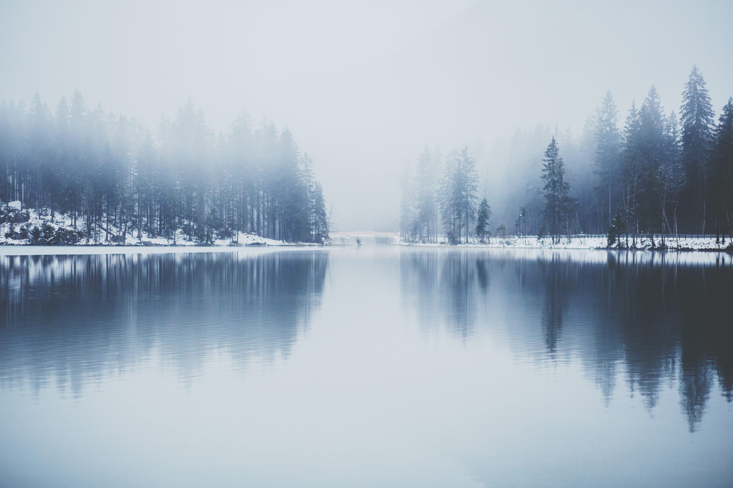 Hallman Lindsay | Color Palette: Frosted Blues
